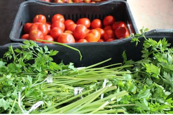 Famílias cadastradas no Prato Para Todos estão entre os que receberam frutas, legumes e verduras