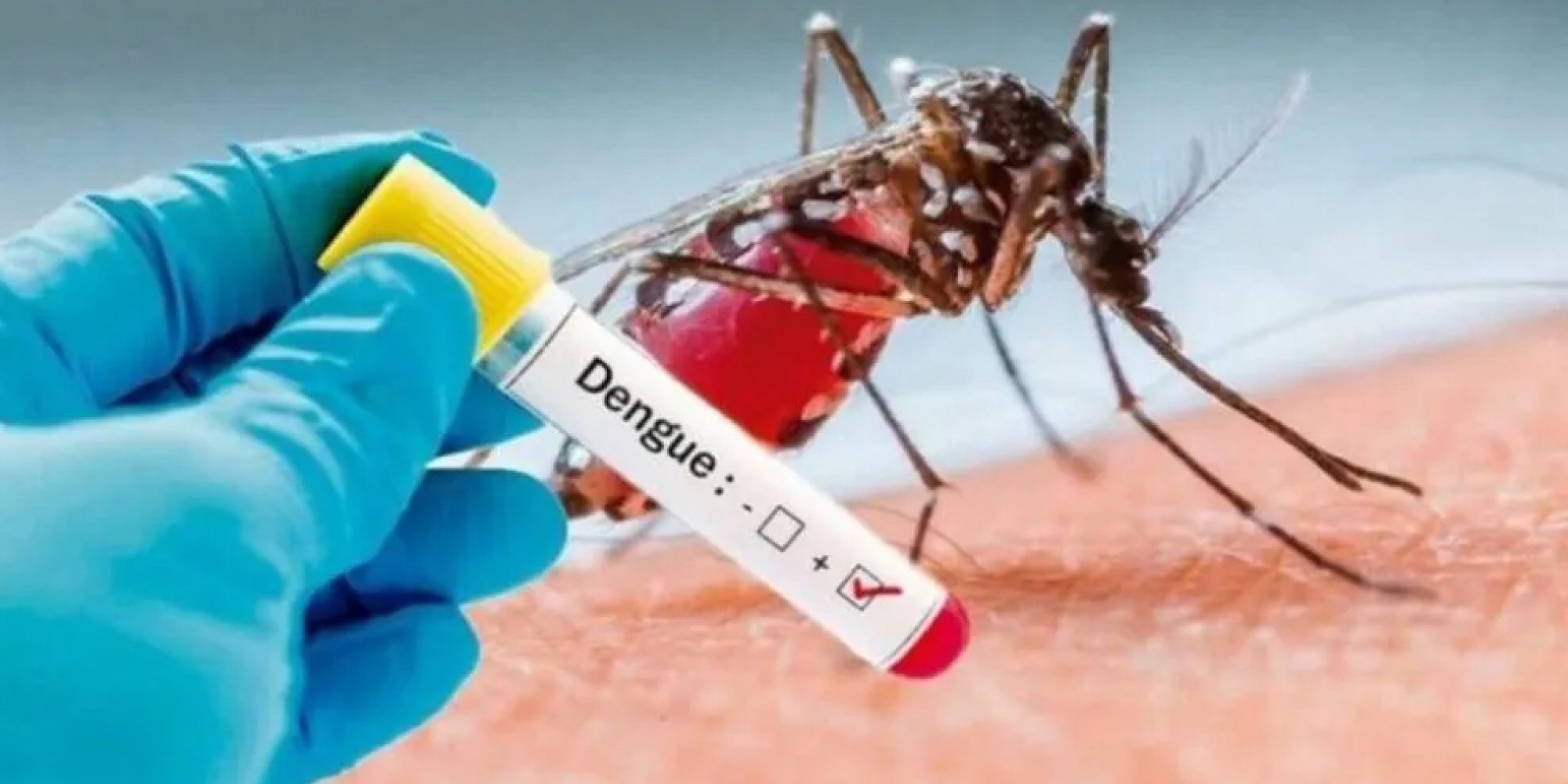 Ijuí passa a ser o município com o maior número de casos de dengue do Estado
