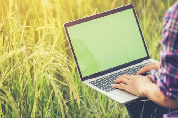 Agora, para solicitar a transferência do benefício, basta acessar portal gov.br