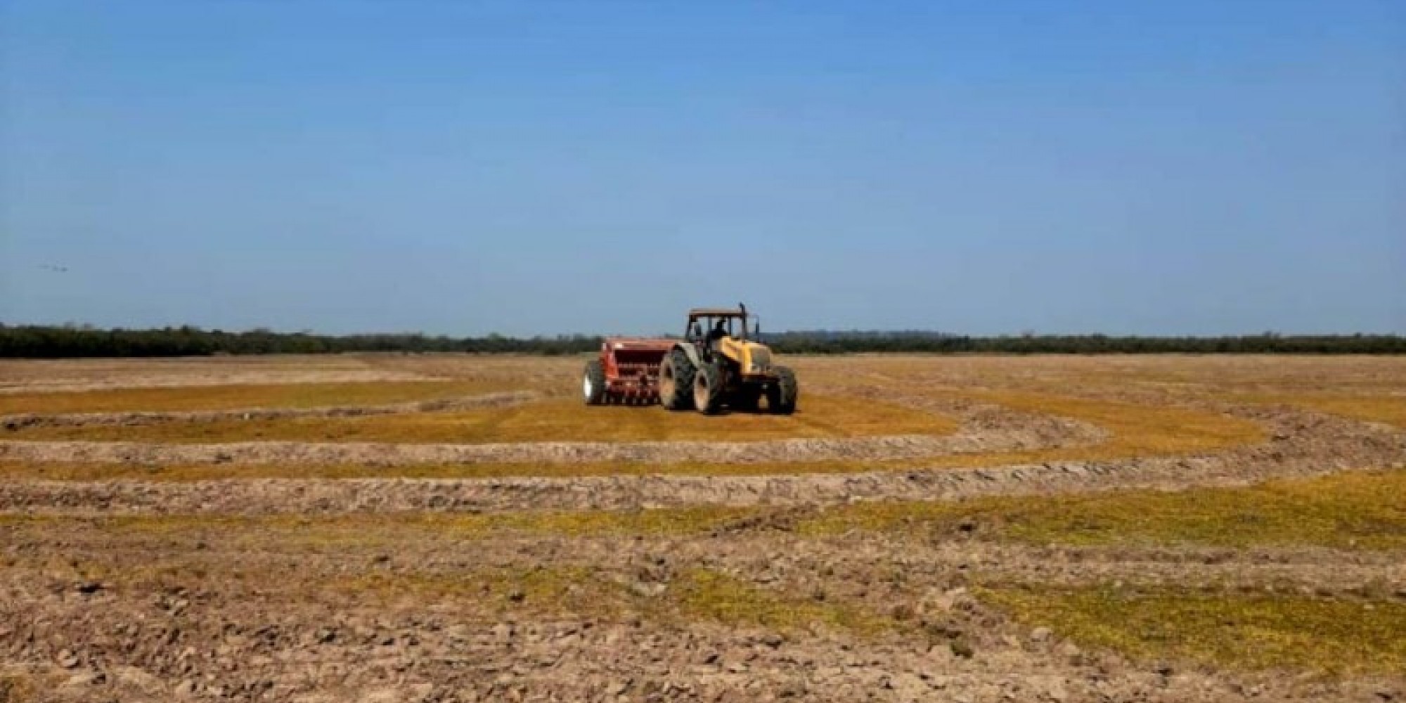Preparativos para o plantio da safra de arroz 2020/2021 estão em andamento em diferentes regiões Preparativos para o plantio da safra de arroz 2020/2021 estão em andamento em diferentes regiões