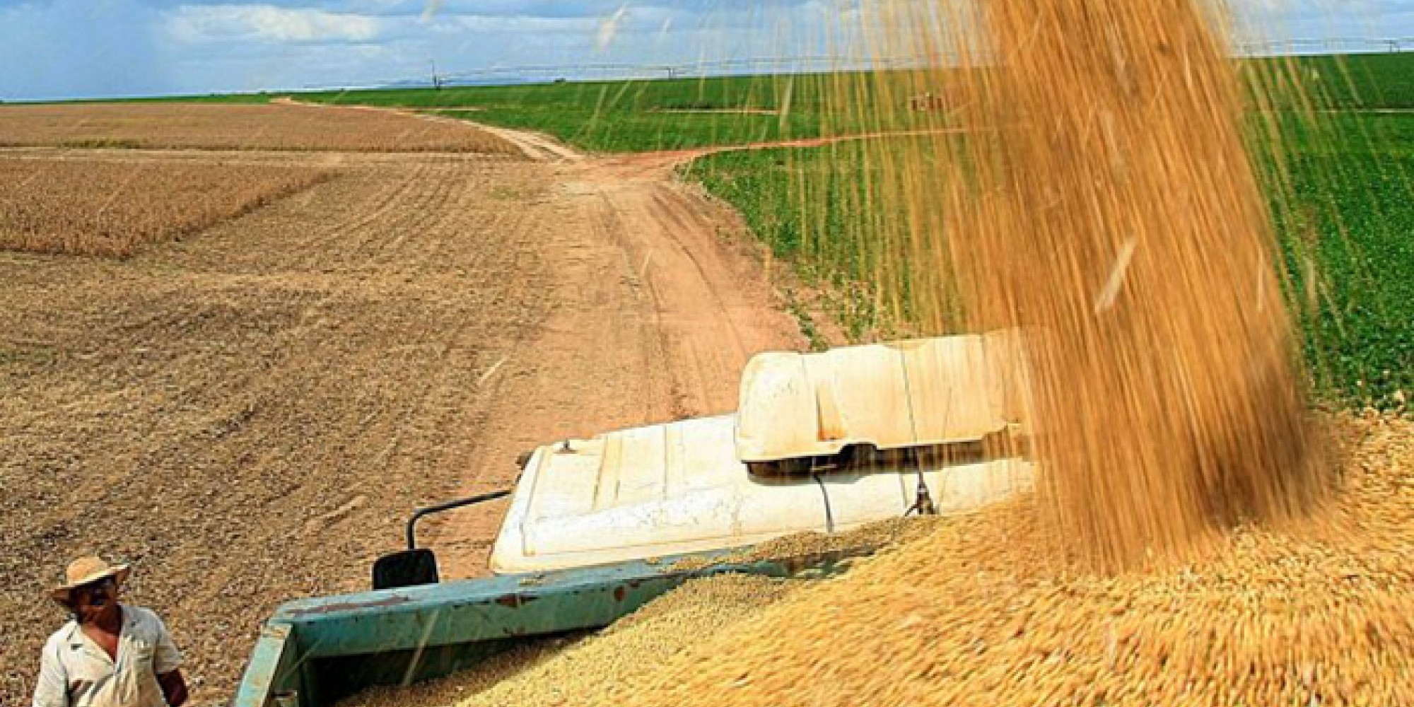 Houve aumento das exportações para a Ásia, com destaque para a China Houve aumento das exportações para a Ásia, com destaque para a China