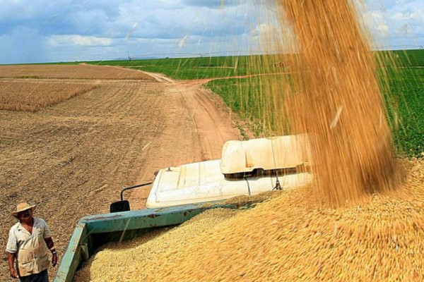 Houve aumento das exportações para a Ásia, com destaque para a China