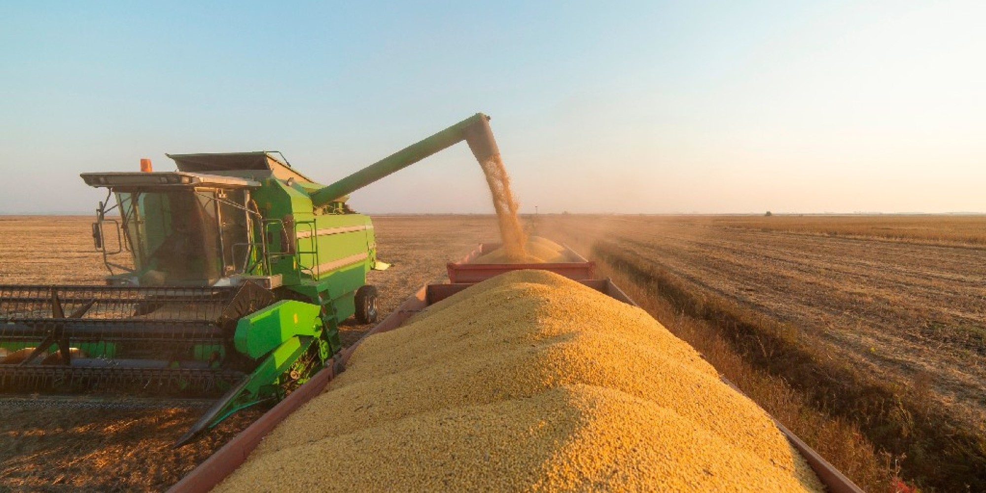 Conab reduz expectativa de safra nacional e estima produção 45,3% maior no RS