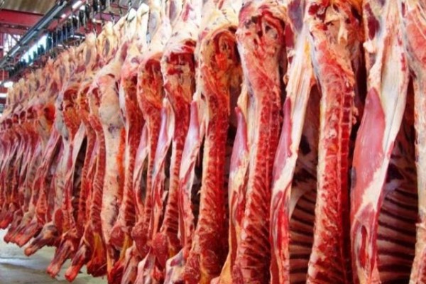 Antes da primeira remessa, o Departamento de Inspeção de Produtos de Origem Animal do Mapa (Dipoa) deve enviar uma lista atualizada de estabelecimentos elegíveis certificados