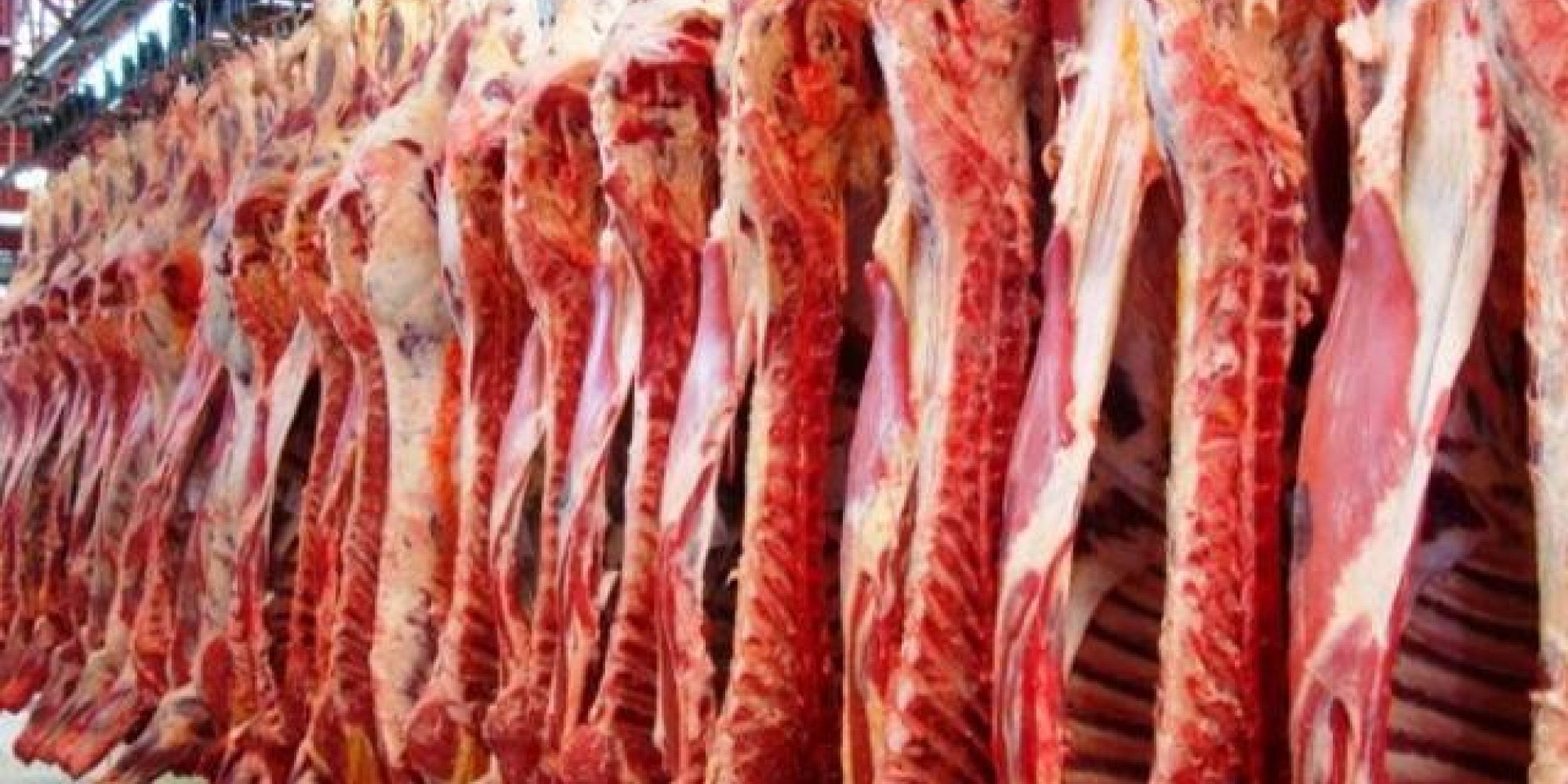 Antes da primeira remessa, o Departamento de Inspeção de Produtos de Origem Animal do Mapa (Dipoa) deve enviar uma lista atualizada de estabelecimentos elegíveis certificados Antes da primeira remessa, o Departamento de Inspeção de Produtos de Origem Animal do Mapa (Dipoa) deve enviar uma lista atualizada de estabelecimentos elegíveis certificados
