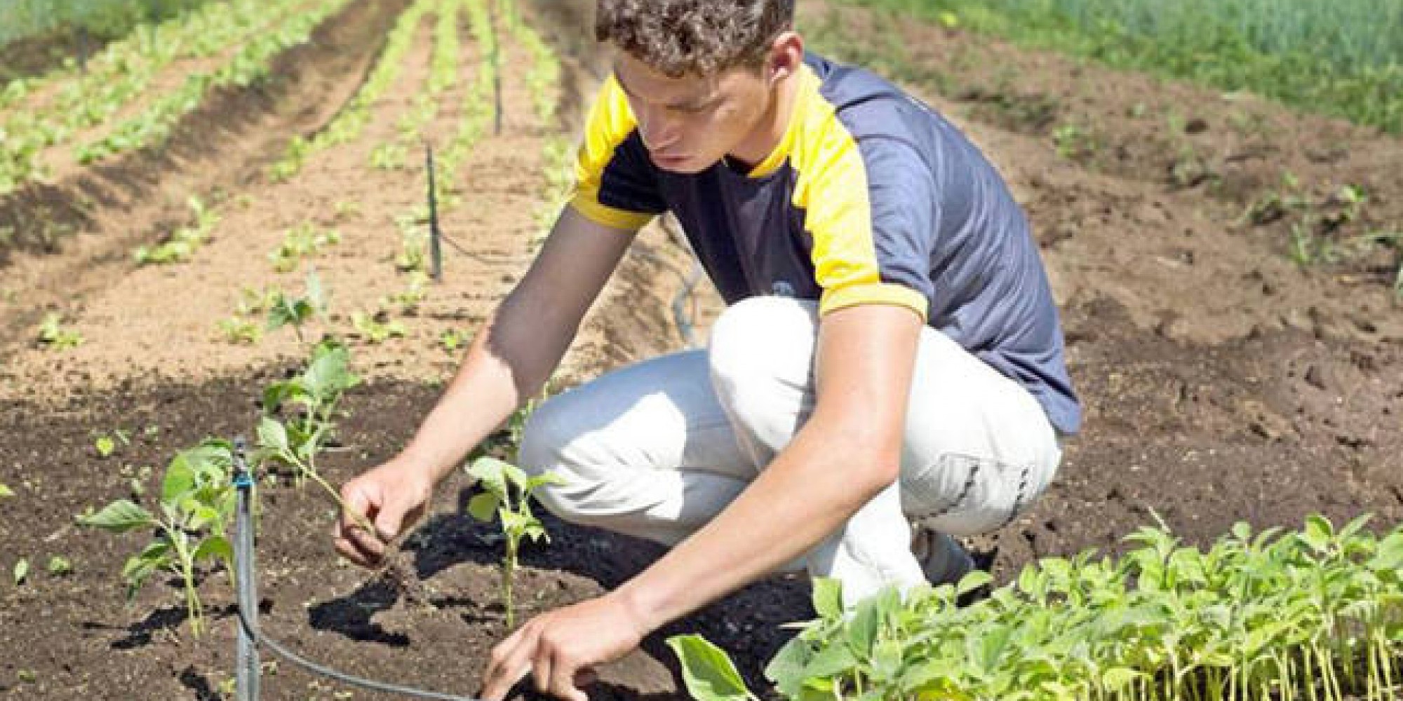Objetivo é valorizar e reconhecer o trabalho dos jovens no campo Objetivo é valorizar e reconhecer o trabalho dos jovens no campo