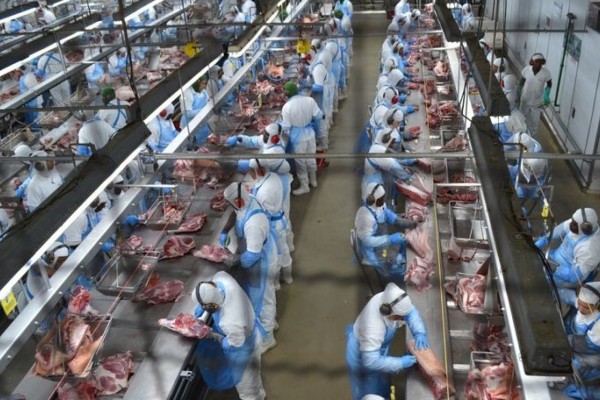 Exportações de carne suína da Dália Alimentos cresceram em 2023