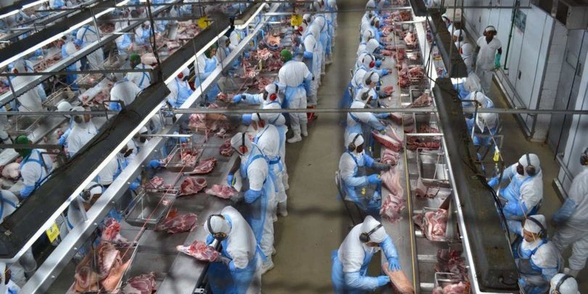 Exportações de carne suína da Dália Alimentos cresceram em 2023