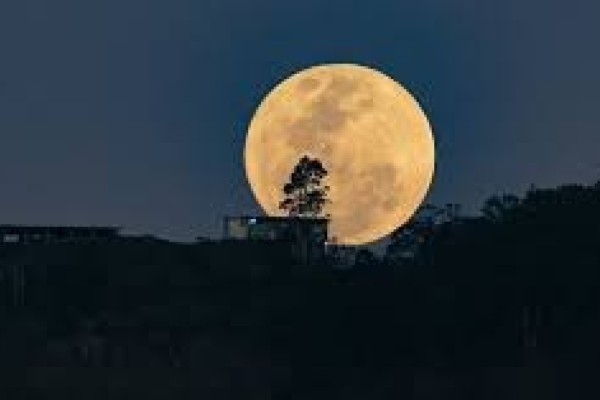 Maior superlua do ano pode ser vista nesta quinta-feira