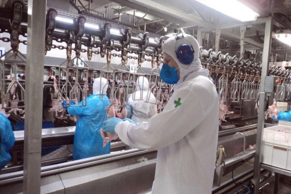Cerca de 3.263 estabelecimentos de produtos de origem animal estão registrados no SIF