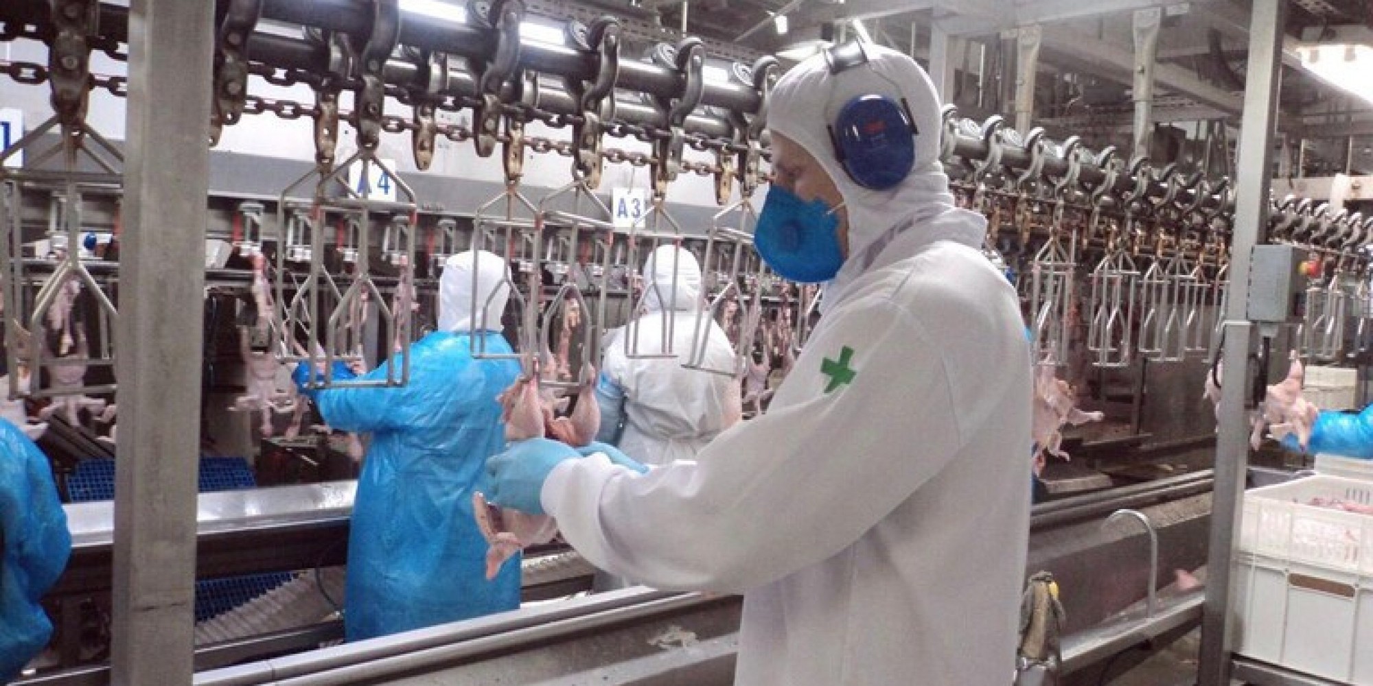 Cerca de 3.263 estabelecimentos de produtos de origem animal estão registrados no SIF Cerca de 3.263 estabelecimentos de produtos de origem animal estão registrados no SIF