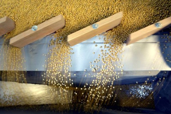 O complexo soja (grão, óleo e farelo) foi o principal produto da pauta exportadora