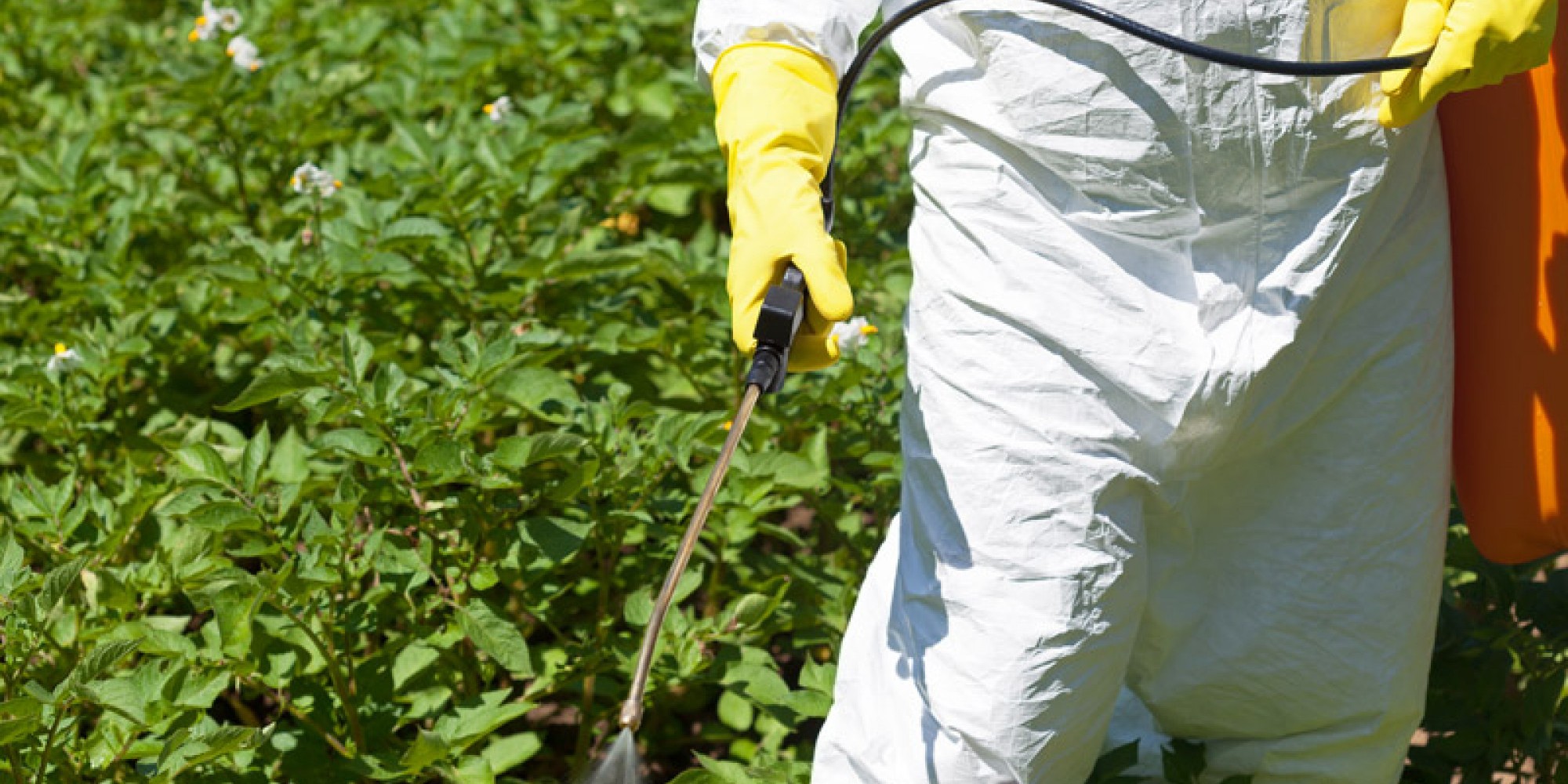 O ano de 2020 já soma 76 produtos de baixo impacto registrados O ano de 2020 já soma 76 produtos de baixo impacto registrados