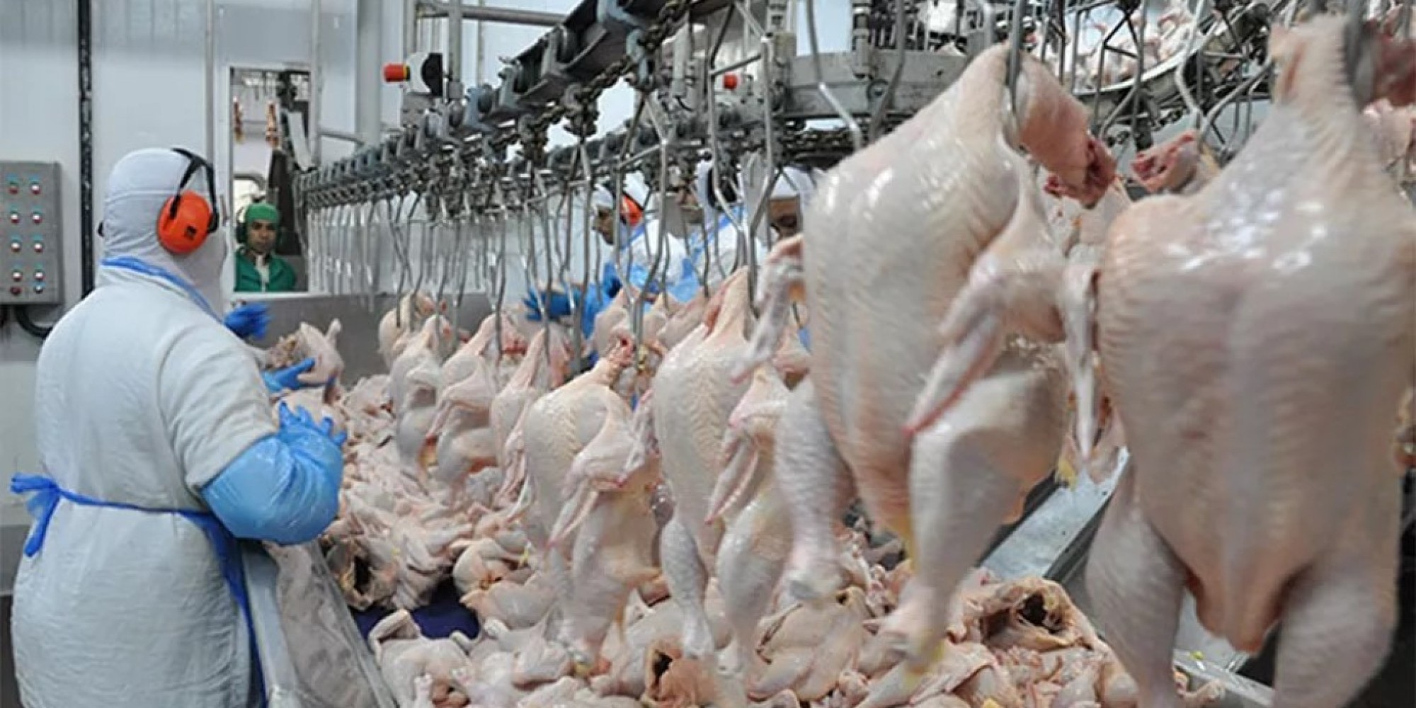 Produção de carne de frango deve ser a maior da história
