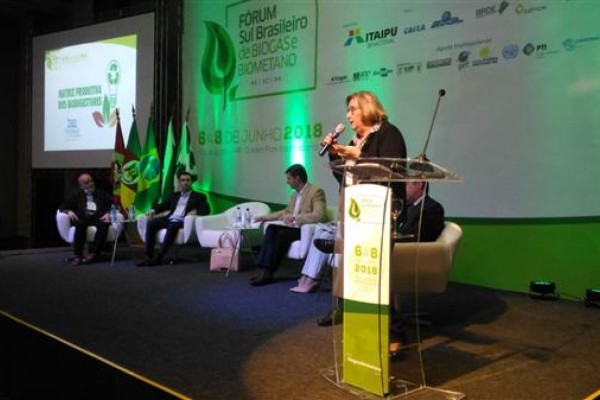 Zilá Breitenbach (PSDB) é a presidente da Frente Parlamentar e da Comissão de Saúde e Meio Ambiente da ALRS