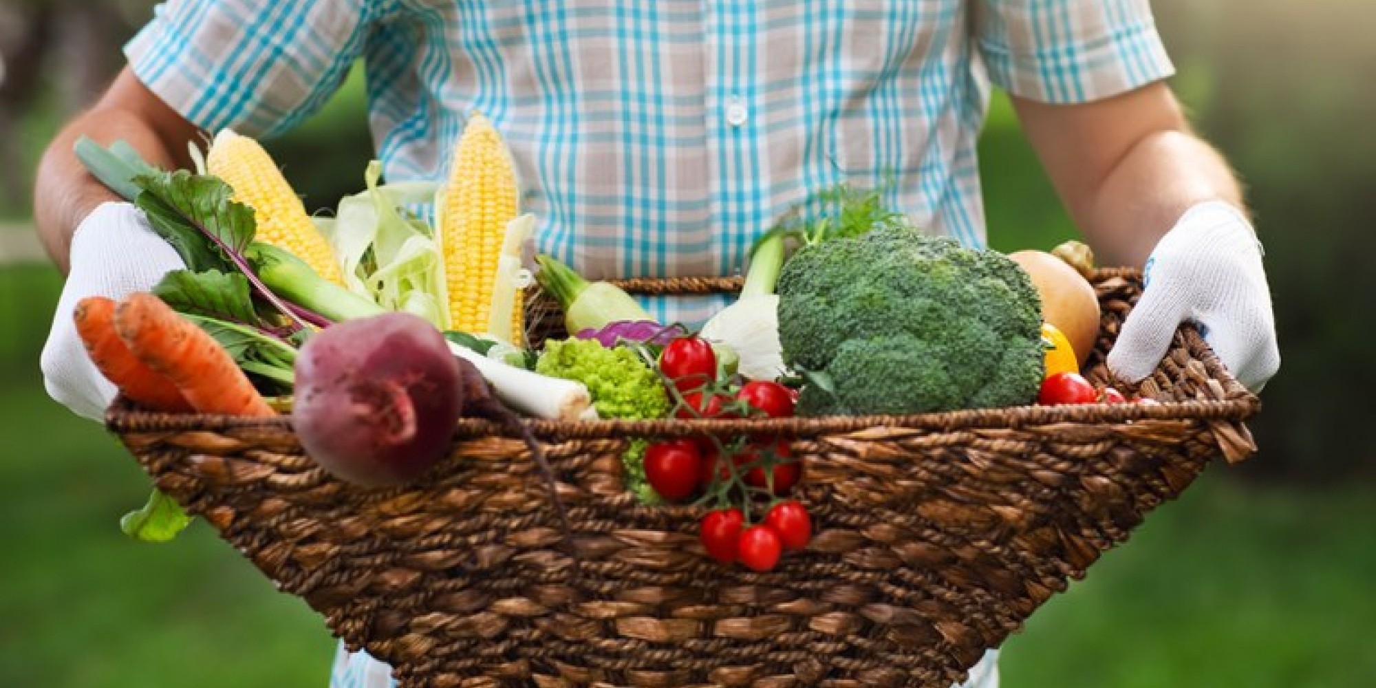 Governo Federal vai destinar R$ 500 milhões para a compra de produtos da agricultura familiar