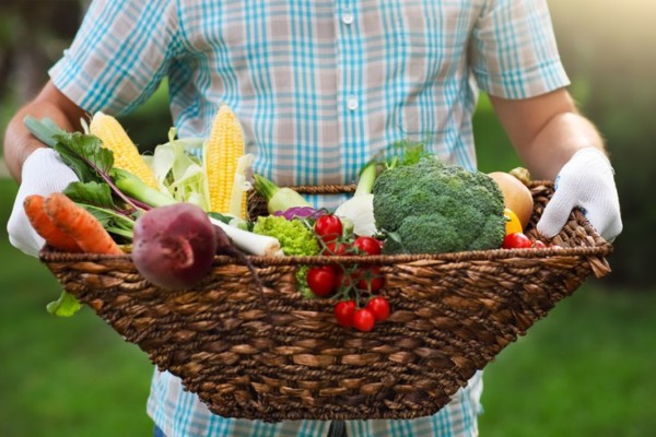 Governo Federal vai destinar R$ 500 milhões para a compra de produtos da agricultura familiar