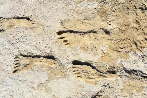 Humanos caminhavam na América, 10 mil anos antes do que o imaginado