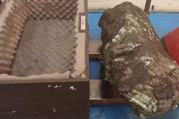 Pedra com esmeraldas encontrada na Bahia é arrematada por R$ 175 milhões