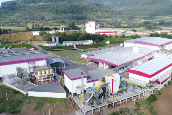 Complexo Industrial Avícola da Dália Alimentos completou quatro anos