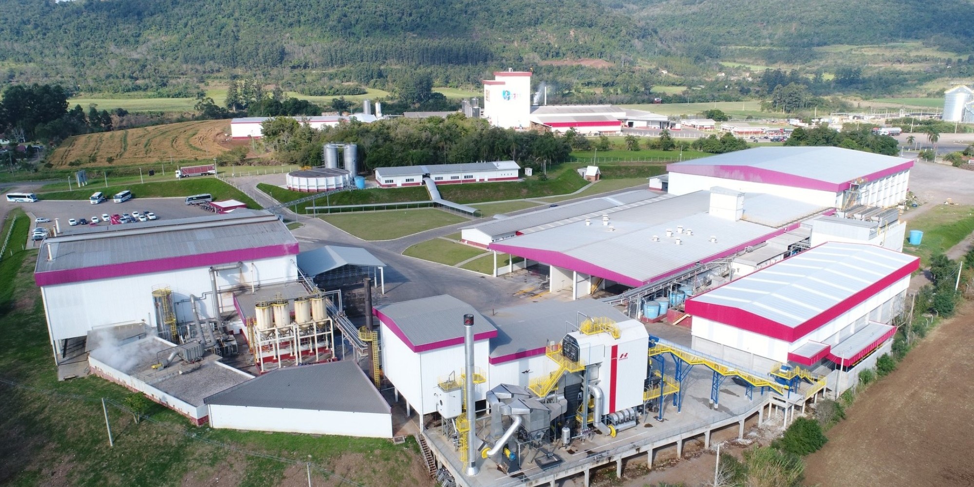 Complexo Industrial Avícola da Dália Alimentos completou quatro anos