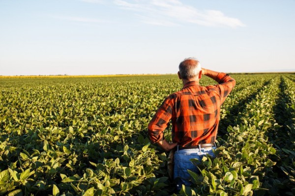  Programa deve beneficiar até 210 mil produtores - Foto: Ministério da Agricultura, Pecuária e Abastecimento