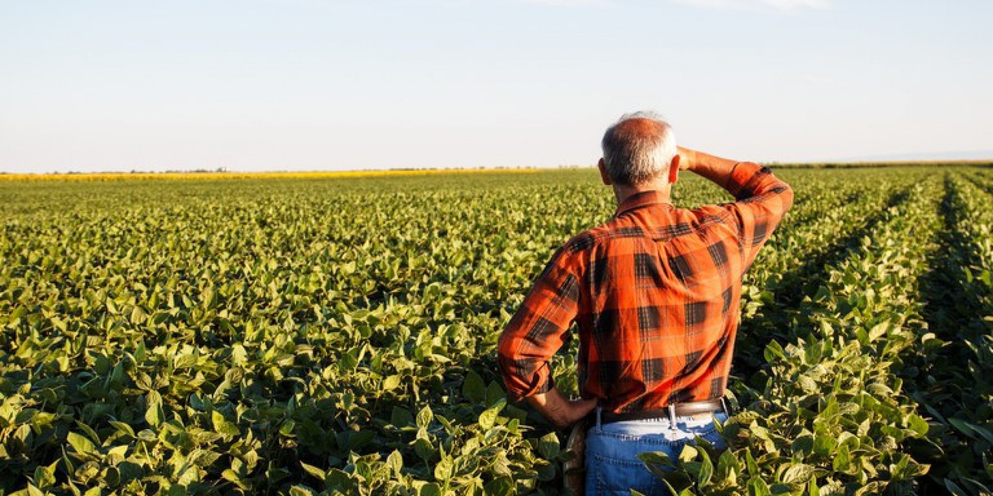 Programa deve beneficiar até 210 mil produtores - Foto: Ministério da Agricultura, Pecuária e Abastecimento Programa deve beneficiar até 210 mil produtores - Foto: Ministério da Agricultura, Pecuária e Abastecimento