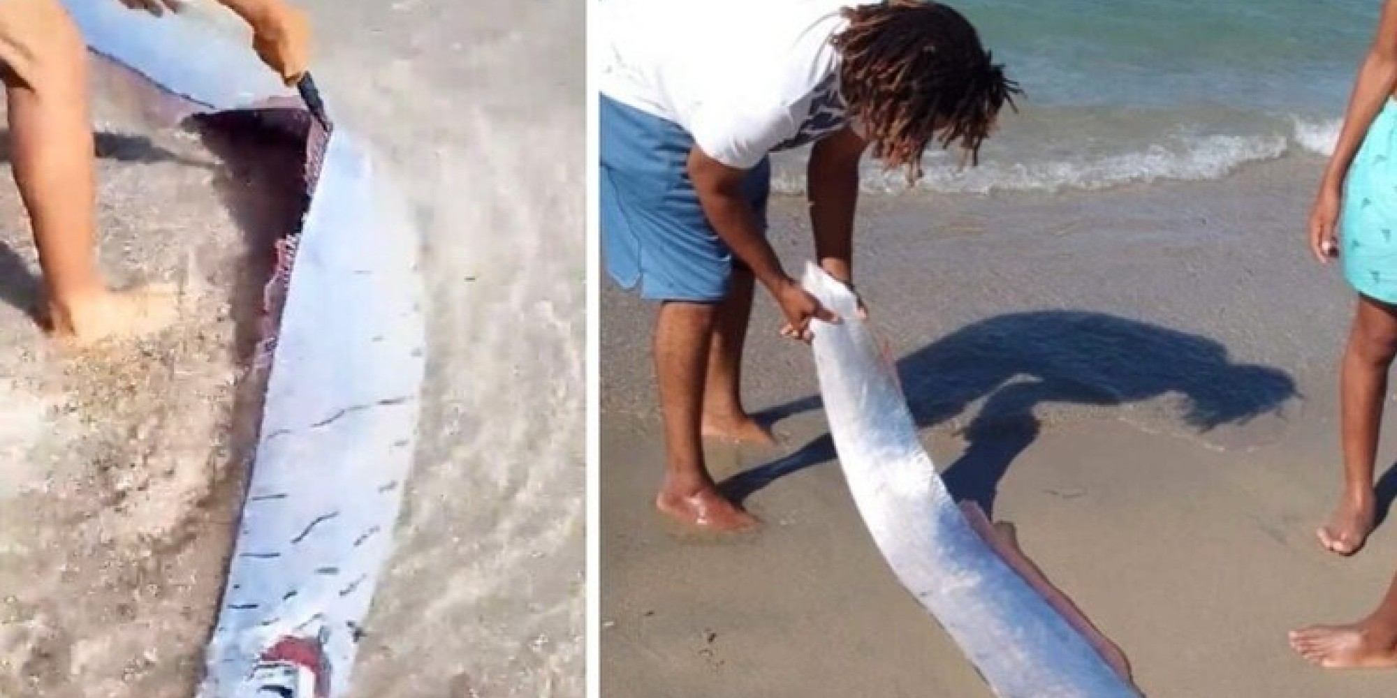 “Peixe do fim do mundo" é encontrado em praia e moradores temem tragédia