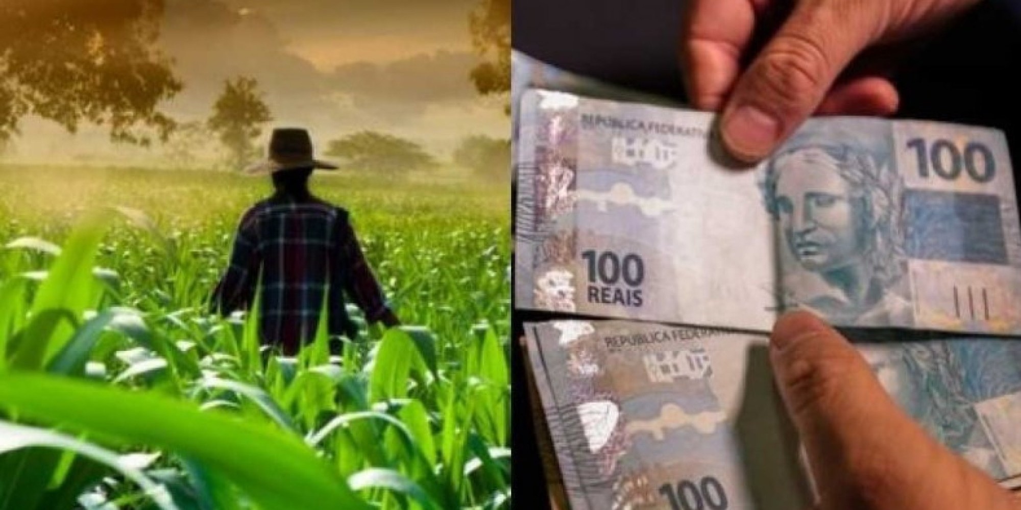 Descontos indevidos na aposentadoria rural, preocupam Sindicatos de Agricultores
