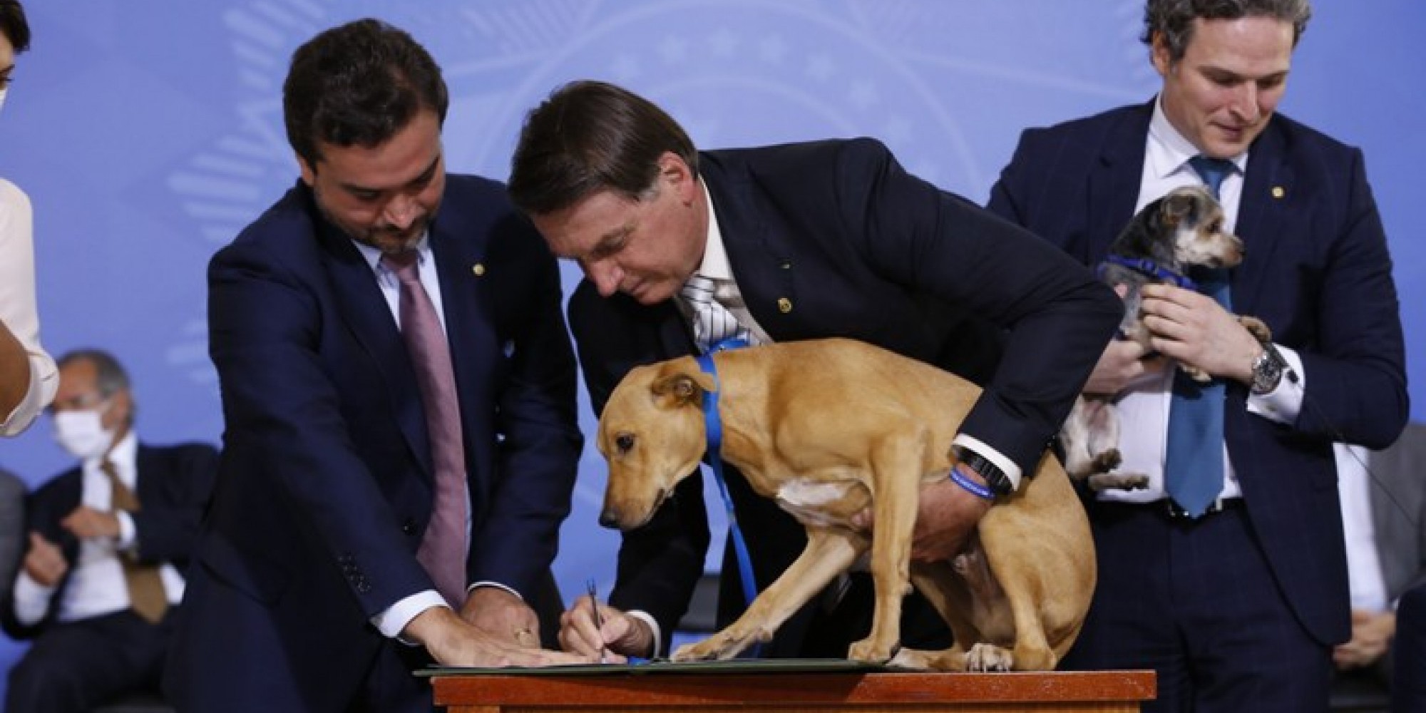 A prática de abuso e maus tratos a animais será punida com pena de reclusão de dois a cinco anos, além de multa e a proibição de guarda A prática de abuso e maus tratos a animais será punida com pena de reclusão de dois a cinco anos, além de multa e a proibição de guarda