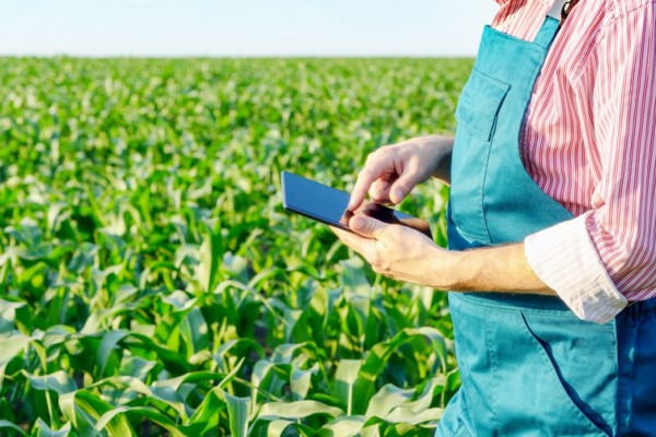 O propósito é implementar ações destinadas à expansão da internet no meio rural