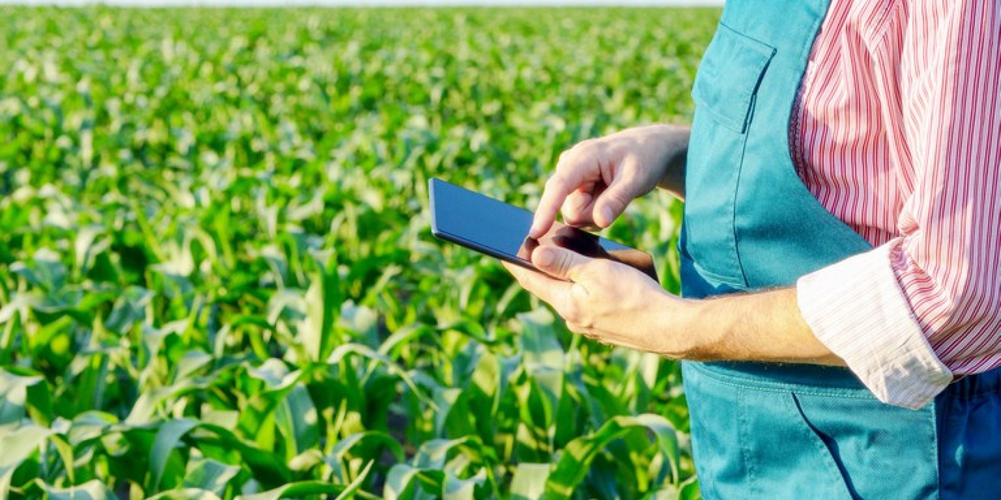 O propósito é implementar ações destinadas à expansão da internet no meio rural O propósito é implementar ações destinadas à expansão da internet no meio rural
