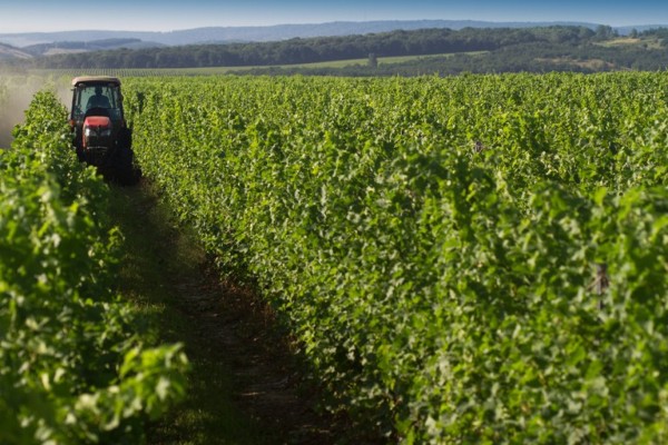 Os dados são do Balanço de Financiamento Agropecuário da Safra 2020/2021