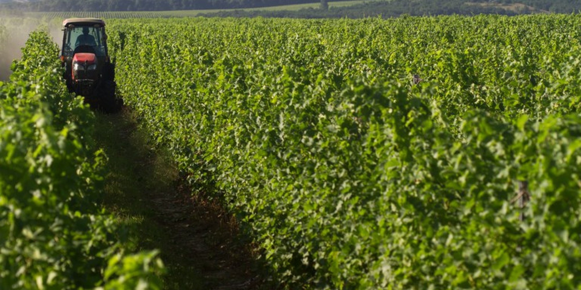 Os dados são do Balanço de Financiamento Agropecuário da Safra 2020/2021 Os dados são do Balanço de Financiamento Agropecuário da Safra 2020/2021