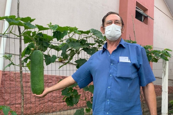 Segundo dono da horta pepino tem cerca de 3,5 quilos e 40 cm 