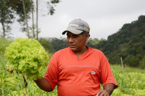 Documento provisório de exploração da terra assinado pelos assentados com o Incra ficam automaticamente revalidados pelo período de 180 dias
