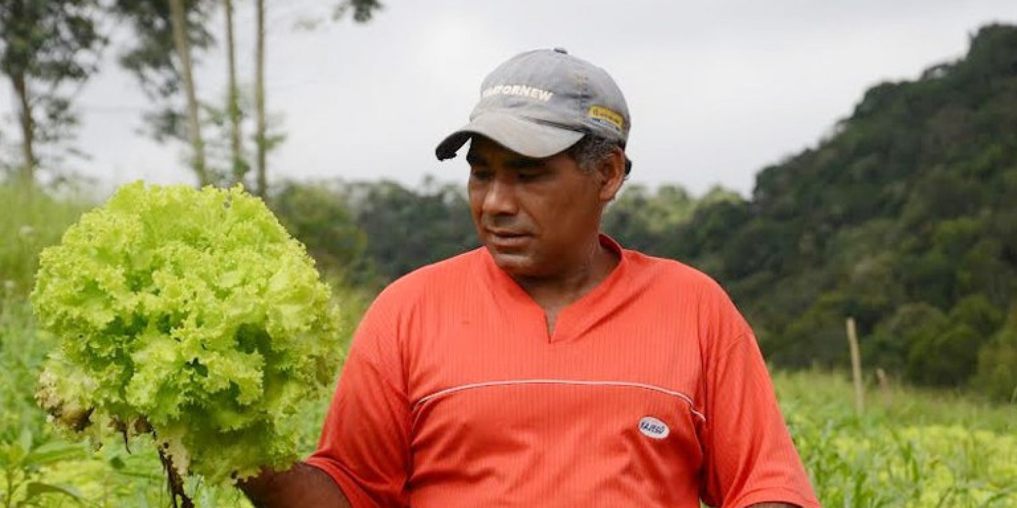 Documento provisório de exploração da terra assinado pelos assentados com o Incra ficam automaticamente revalidados pelo período de 180 dias