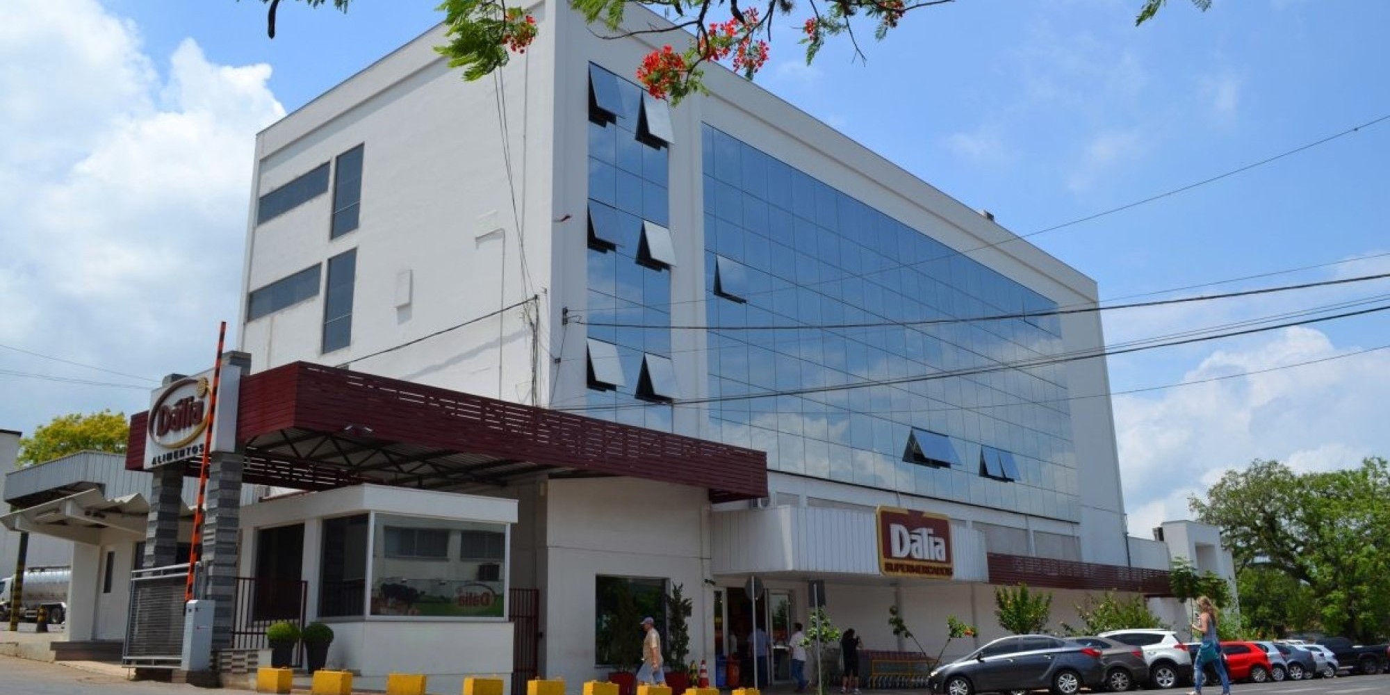 Assembleias Regionais da Dália começam dia 18 de março