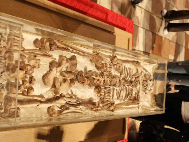 Venera&ccedil;&atilde;o das rel&iacute;quias, tradi&ccedil;&atilde;o cat&oacute;lica que n&atilde;o se confunde com idolatria, re&uacute;ne milhares de fi&eacute;is 800 anos ap&oacute;s a morte do santo