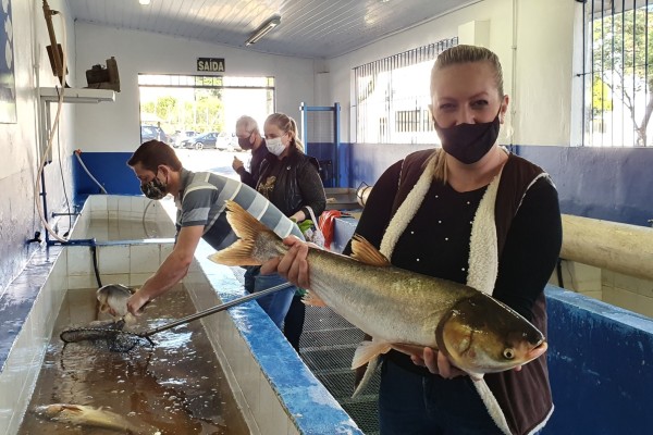 Feira do Peixe Vivo deve comercializar 12 toneladas de pescado
