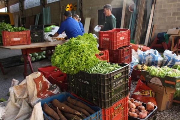  Programa federal incentiva a produção agrícola. Prefeitura compra alimentos produzidos no interior e distribui para escolas, hospital e famílias de baixa renda e vulnerabilidade social