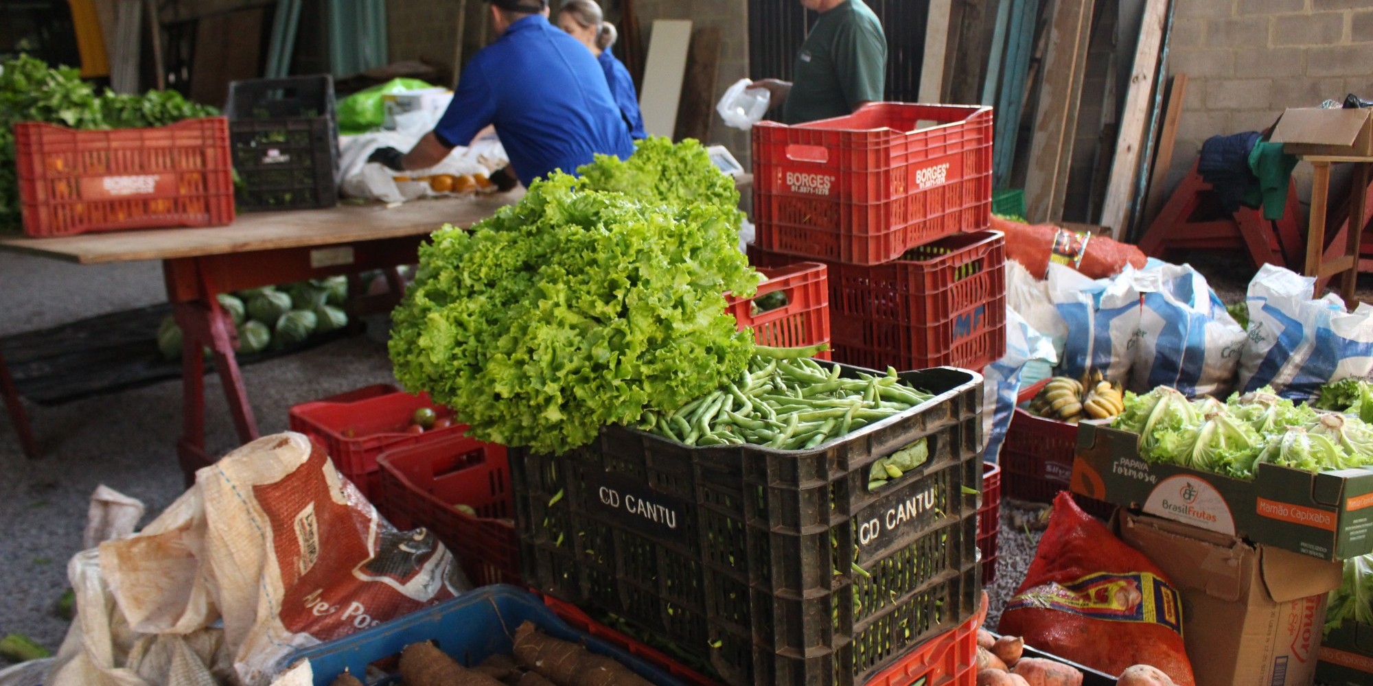 Programa federal incentiva a produção agrícola. Prefeitura compra alimentos produzidos no interior e distribui para escolas, hospital e famílias de baixa renda e vulnerabilidade social Programa federal incentiva a produção agrícola. Prefeitura compra alimentos produzidos no interior e distribui para escolas, hospital e famílias de baixa renda e vulnerabilidade social