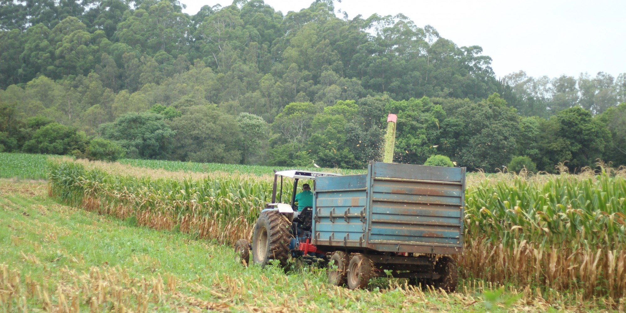 Muçum se destacou no Vale do Taquari, pelo crescimento da atividade rural entre 2006 e 2017. Muçum se destacou no Vale do Taquari, pelo crescimento da atividade rural entre 2006 e 2017.