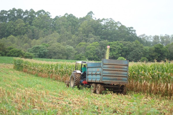 Muçum se destacou no Vale do Taquari, pelo crescimento da atividade rural entre 2006 e 2017.