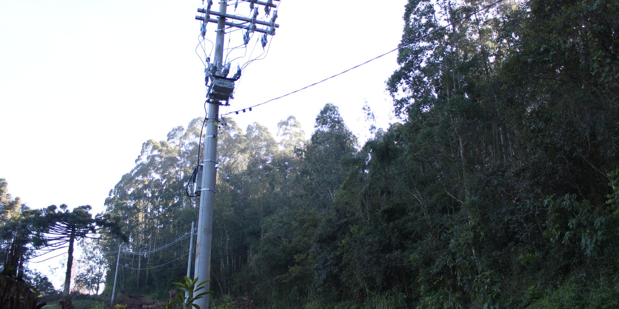 Energia trifásica começa a ser implantada na Linha 20 de Setembro