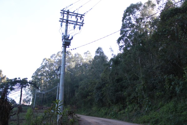Energia trifásica começa a ser implantada na Linha 20 de Setembro