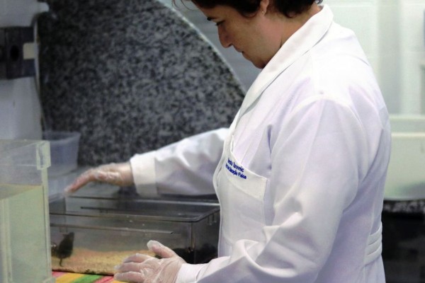 Mulheres são 46% do total de pesquisadores da América Latina e Caribe