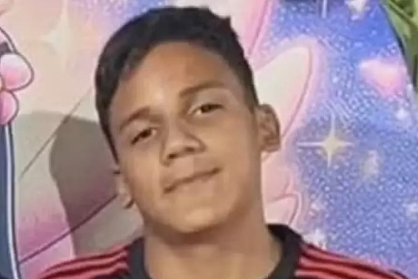 Jovem de 14 anos é atacado por abelhas e está em coma