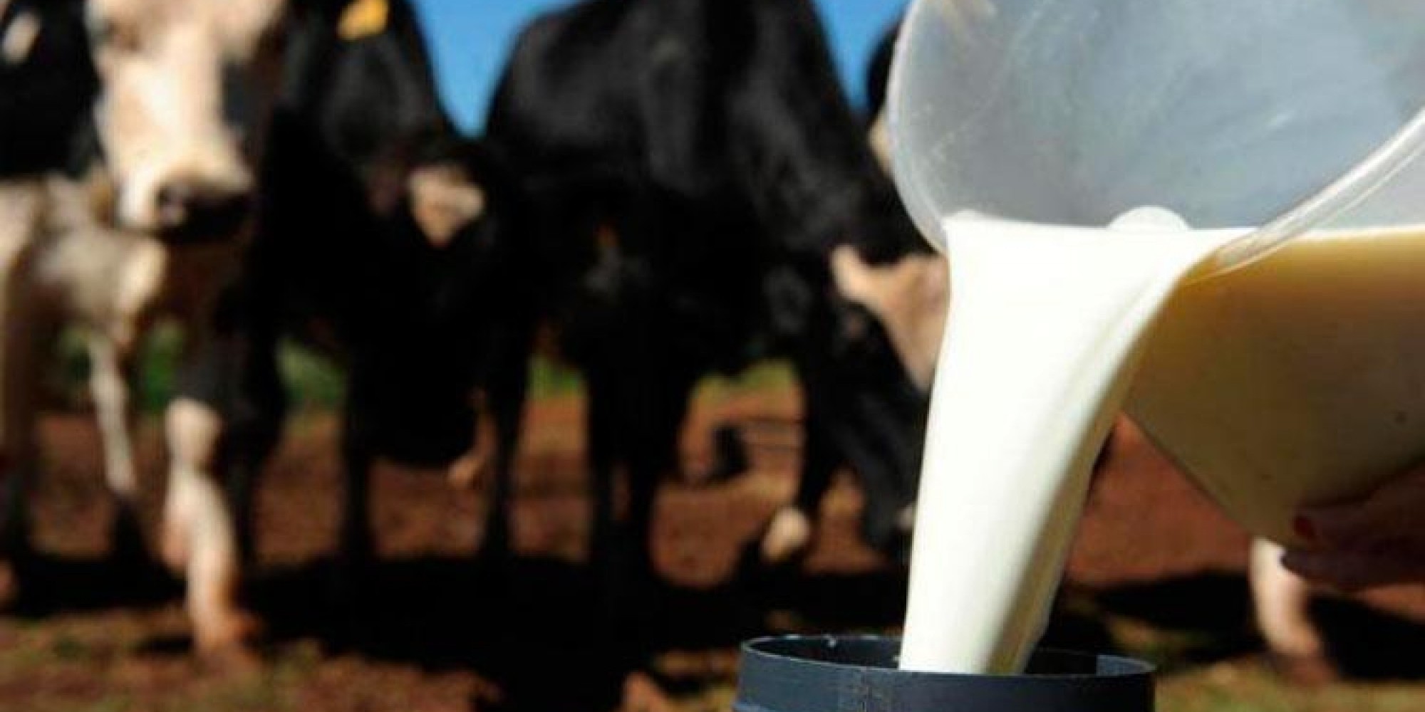 Leite deverá ser comprado de pequenos produtores para fortalecer setor produtivo local Leite deverá ser comprado de pequenos produtores para fortalecer setor produtivo local