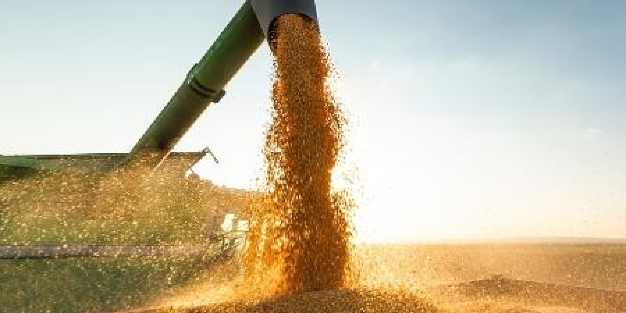 IBGE eleva previsão de safra recorde em 2023